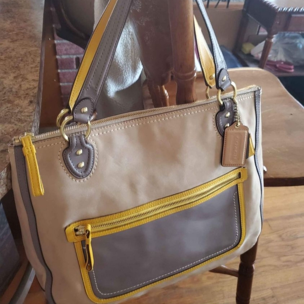 Coach Hallie Poppy Leather Purse